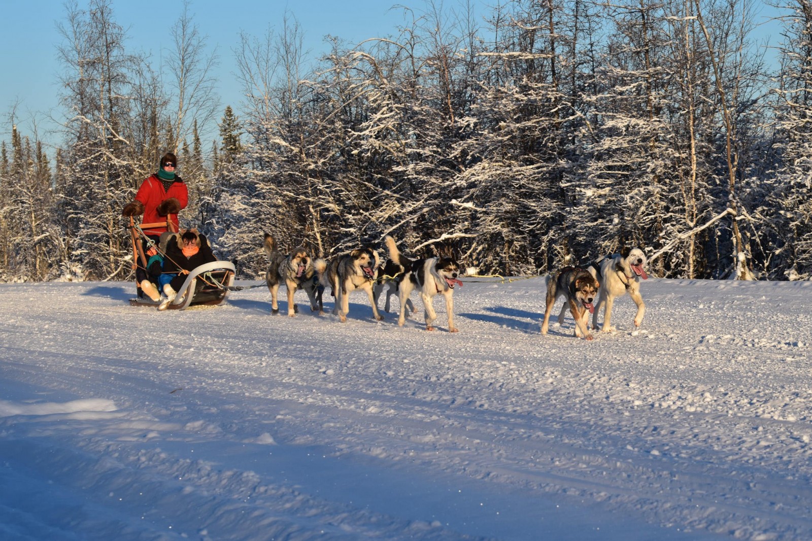 Rod’s Alaskan Guide Service Winter Dog Sledding,…